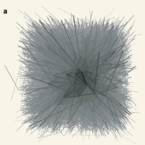 system