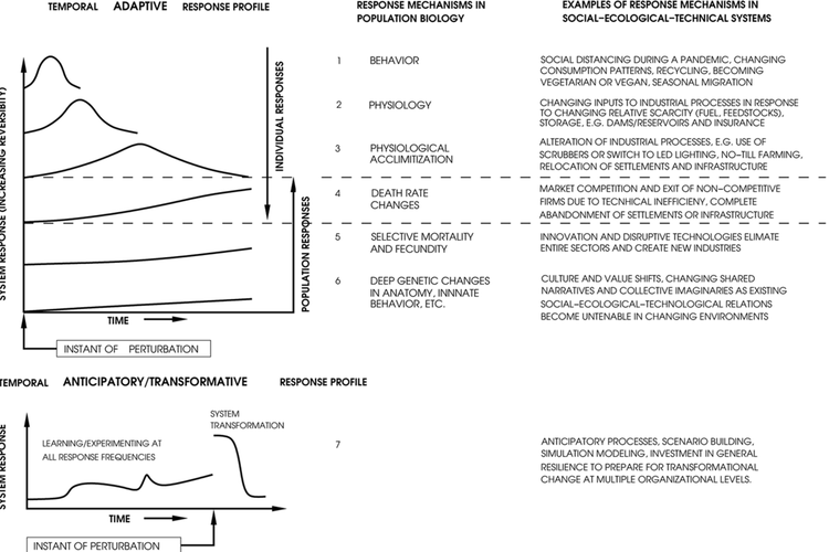Hierarchical responses to “extreme events.”